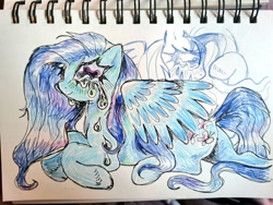 Size: 1024x768 | Tagged: safe, artist:drawswithpaws, derpibooru import, pegasus, pony, blue coat, female, mare, smiling, solo, traditional art
