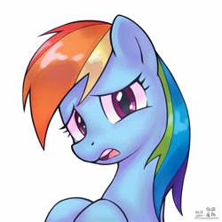 Size: 4000x4000 | Tagged: safe, artist:低能废物, derpibooru import, rainbow dash, pegasus, pony, g4, bust, female, looking at you, mare, open mouth, portrait, simple background, solo, text, white background, worried