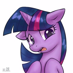 Size: 4000x4000 | Tagged: safe, artist:低能废物, derpibooru import, twilight sparkle, pony, unicorn, g4, bust, female, horn, looking at you, mare, open mouth, portrait, simple background, solo, text, white background, worried