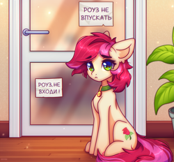 Size: 2691x2500 | Tagged: safe, artist:radioaxi, derpibooru import, roseluck, earth pony, pony, g4, behaving like a cat, collar, commission, commissioner:doom9454, cute, cyrillic, door, high res, meme, pet tag, ponified animal photo, pony pet, rosepet, russian, sitting, translated in the description
