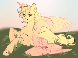 Size: 2560x1902 | Tagged: safe, derpibooru import, pony, commission, field, lying down, your character here