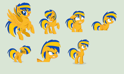 Size: 5872x3536 | Tagged: safe, artist:stephen-fisher, derpibooru import, oc, oc only, oc:flare spark, pegasus, expressions, facial expressions, female, solo