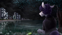 Size: 4000x2250 | Tagged: safe, artist:vendigo, derpibooru import, oc, oc only, earth pony, pony, city, night, reflection, solo, tree, water