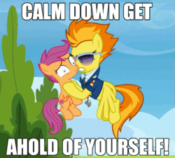 Size: 513x463 | Tagged: safe, derpibooru import, edit, edited screencap, screencap, scootaloo, spitfire, pegasus, pony, abuse, airplane!, animated, bitchfire, caption, clothes, cropped, duo, female, filly, flying, foal, gif, holding a pony, image macro, jewelry, loop, mare, movie reference, necklace, necktie, pinpoint eyes, scootabuse, shaking, spitfire's tie, spitfire's whistle, sunglasses, text, uniform, whistle, whistle necklace, wonderbolts dress uniform
