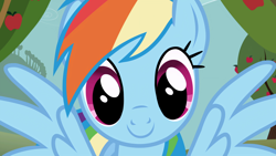 Size: 3840x2160 | Tagged: safe, derpibooru import, screencap, rainbow dash, pegasus, pony, g4, season 1, the ticket master, apple, apple tree, cute, dashabetes, female, looking at you, mare, outdoors, smiling, smiling at you, solo, spread wings, tree, wings