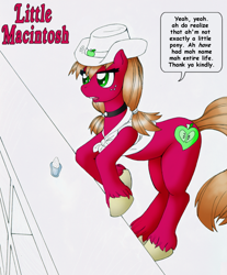 Size: 590x713 | Tagged: artist needed, safe, derpibooru import, big macintosh, g4, collar, cowboy hat, cowboy vest, female, hat, rule 63, solo, unshorn fetlocks