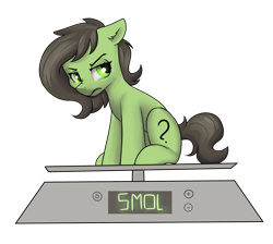 Size: 2870x2575 | Tagged: safe, artist:dumbwoofer, derpibooru import, oc, oc only, oc:anon filly, earth pony, pony, angry, annoyed, ear fluff, ears, female, filly, foal, meme, scale, scowl, simple background, sitting, smol, solo, transparent background