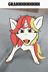 Size: 4800x7200 | Tagged: safe, artist:gean, derpibooru import, oc, oc only, oc:lazy sunday, pony, unicorn, angry, behaving like a cat, creature, funny, horn, looking at you, meme, silly, solo, yelling