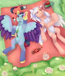 Size: 1200x1400 | Tagged: safe, artist:dagych, derpibooru import, oc, oc only, pegasus, pony, 2021, duo, grass, pegasus oc, picnic blanket