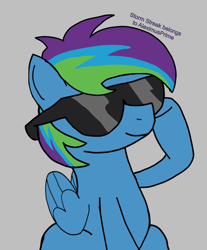 Size: 3834x4620 | Tagged: safe, derpibooru import, oc, oc:storm streak, pegasus, pony, flurry heart's story, 20% cooler, fanfic art, female, filly, foal, gray background, male, offspring, parent:oc:thunderhead, parent:rainbow dash, parents:canon x oc, rainbow dash's sunglasses, simple background, solo, solo male, sunglasses