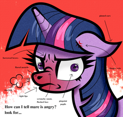 Size: 1202x1150 | Tagged: safe, artist:scandianon, derpibooru import, twilight sparkle, unicorn twilight, pony, unicorn, angry, arrow, cross-popping veins, dialogue, ears back, emanata, female, furrowed brow, horn, mare, pinpoint eyes, red face, scrunchy face, snorting, unamused