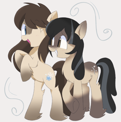 Size: 2574x2601 | Tagged: safe, artist:spoonie, derpibooru import, oc, oc only, oc:cold shoulder, oc:frosty flakes, earth pony, pony, bipedal, blush lines, blushing, chest fluff, duo, female, fluffy, grin, looking at each other, looking at someone, mare, open mouth, open smile, simple background, smiling, smiling at each other, snow, snowpony, snowpony (species), taiga pony, yakutian horse