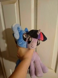 Size: 940x1252 | Tagged: safe, derpibooru import, trixie, twilight sparkle, asphyxiation, irl, photo, plushie, strangling