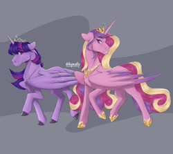 Size: 2048x1828 | Tagged: safe, artist:hiyacolly, derpibooru import, princess cadance, twilight sparkle, twilight sparkle (alicorn), alicorn, pony, chest fluff, duo, female, hoers, hoof shoes, jewelry, mare, peytral, regalia, sisters-in-law