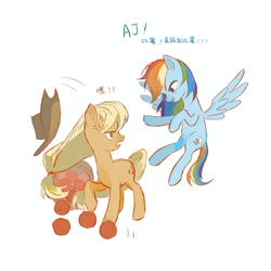 Size: 2048x2048 | Tagged: safe, artist:qmomiji188100, derpibooru import, applejack, rainbow dash, earth pony, pegasus, pony, g4, annoyed, apple, appledash, applejack's hat, basket, chinese, clothes, cowboy hat, cross-popping veins, duo, emanata, female, food, freckles, hat, lesbian, mare, shipping, simple background, translation request, white background