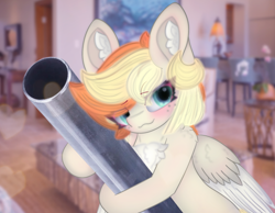 Size: 2066x1606 | Tagged: safe, artist:sodapop sprays, derpibooru import, oc, oc only, oc:sodapop sprays, pegasus, pony, blushing, chest fluff, digital art, ear fluff, ears, freckles, looking at you, meme, metal pipe, solo