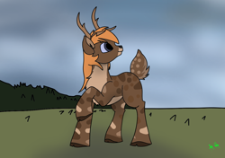 Size: 1200x847 | Tagged: safe, artist:aegishailstorm, derpibooru import, oc, oc only, oc:luibh, deer, deer pony, hybrid, original species, blue eyes, cloud, cloudy, commission, forest background, looking at something, raised tail, solo, tail