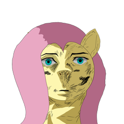 Size: 2048x2048 | Tagged: safe, artist:enterusxrname, derpibooru import, fluttershy, g4, high res, meme, png, reference, simple background, solo, thousand yard stare, transparent background