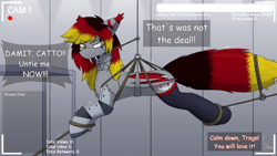 Size: 3840x2160 | Tagged: safe, artist:monycaalot, derpibooru import, oc, oc only, oc:traga, bat pony, series:catto's vore stream, angry, bat pony oc, bat wings, bondage, clothes, fangs, implied vore, incentive drive, livestream, looking at you, male, robotic arm, socks, suspended, tied up, wings