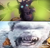 Size: 1358x1296 | Tagged: safe, derpibooru import, storm king, g4, my little pony: the movie, comparison, godzilla (series), godzilla x kong: the new empire, karma, monsterverse, petrification, skar king, spoilers for another series