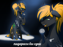 Size: 1280x956 | Tagged: safe, artist:terminalhash, derpibooru import, oc, oc:ravery kadogan, demon, demon pony, pony, cyrillic, meme, microphone, russian, russian meme, solo