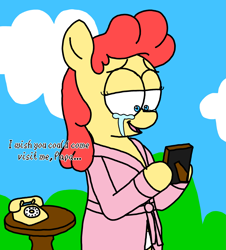 Size: 3023x3351 | Tagged: safe, artist:professorventurer, derpibooru import, oc, oc:power star, clothes, crying, every copy of super mario 64 is personalized, frame, implied father, morning ponies, panties, phone, robe, rotary phone, rule 85, super mario 64, table, tears of joy, underwear