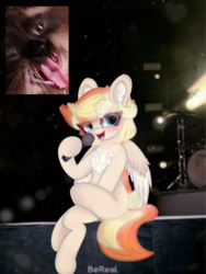 Size: 4096x5461 | Tagged: safe, artist:sodapop sprays, derpibooru import, oc, oc:sodapop sprays, cat, pegasus, pony, bereal., blushing, chest freckles, concert, ear fluff, ears, eye clipping through hair, freckles, happy, looking at you, meme, screaming fan meme, wip