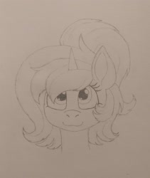 Size: 3060x3632 | Tagged: safe, artist:curly horse, derpibooru import, oc, oc only, oc:red rocket, unicorn, :3, bust, cute, horn, pencil drawing, ponytail, portrait, sketch, solo, traditional art