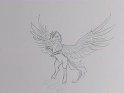 Size: 4624x3468 | Tagged: safe, artist:hkpegasister, derpibooru import, oc, oc only, oc:silver argent, hippogriff, pony, absurd resolution, grayscale, male, monochrome, pencil drawing, ponygriff, rearing, smiling, solo, spread wings, stallion, traditional art, wings