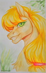 Size: 1366x2160 | Tagged: safe, artist:dementra369, derpibooru import, applejack, earth pony, pony, g4, bust, chest fluff, colored pupils, female, green eyes, grin, looking at you, mare, missing freckles, portrait, smiling, solo, traditional art, watercolor painting
