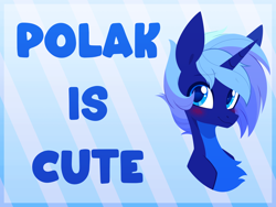 Size: 4000x3000 | Tagged: safe, artist:belka-sempai, derpibooru import, oc, oc only, oc:night sky (polak23), alicorn, pony, blushing, bust, countershading, cute, solo, text