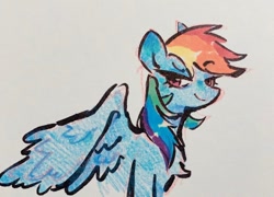 Size: 818x588 | Tagged: safe, artist:punkieple, derpibooru import, rainbow dash, pegasus, pony, colored pencil drawing, female, mare, marker drawing, smiling, smug, solo, traditional art