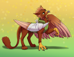 Size: 3600x2800 | Tagged: safe, artist:jack-pie, derpibooru import, oc, oc only, oc:pavlos, griffon, bandage, beak, broken bone, broken wing, cast, cheek fluff, claws, clothes, colored wings, commission, concave belly, eared griffon, gradient background, griffon oc, injured, large wings, male, non-pony oc, one wing out, sling, solo, tail, thinking, wing hands, wings