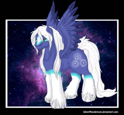 Size: 782x729 | Tagged: safe, artist:silvermoonbreeze, derpibooru import, oc, oc only, oc:starlight (silvermoonbreeze), pegasus, coat markings, colored wings, colored wingtips, facial markings, long mane male, male, nebula, passepartout, pegasus oc, socks (coat marking), space, spread wings, stallion, standing, star (coat marking), unshorn fetlocks, wings