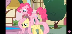 Size: 1140x540 | Tagged: safe, derpibooru import, fluttershy, pinkie pie, earth pony, pegasus, a bird in the hoof, g4