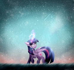 Size: 1805x1700 | Tagged: safe, artist:queenofsilvers, derpibooru import, twilight sparkle, twilight sparkle (alicorn), alicorn, pony, g4, bipedal, comet, ear fluff, ears, eye clipping through hair, eyebrows, eyebrows visible through hair, female, folded wings, glowing, glowing horn, grass, heart, heart eyes, horn, looking up, magic, magic aura, mare, night, night sky, outdoors, raised hoof, raised leg, signature, sky, solo, stars, tail, wingding eyes, wings