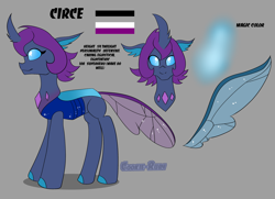 Size: 3168x2288 | Tagged: safe, artist:cookie-ruby, derpibooru import, mare do well, oc, oc only, oc:circe, changedling, changeling, g4, asexual pride flag, changedling oc, changeling oc, changelingified, ponysona, pride, pride flag, purple changeling, reference, reference sheet, solo, species swap