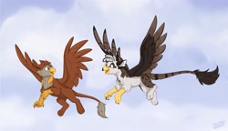 Size: 4096x2363 | Tagged: safe, artist:rutkotka, derpibooru import, oc, oc only, oc:ospreay, oc:peregrine, blue eyes, cloud, commission, cute, duo, flying, golden eyes, looking at each other, looking at someone, sketch, sky, tail, watermark, wings