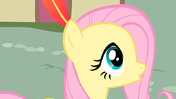Size: 1920x1080 | Tagged: safe, derpibooru import, screencap, fluttershy, pegasus, pony, a bird in the hoof, g4, season 1, :o, duckface, feather, female, mare, open mouth, solo