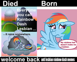 Size: 862x694 | Tagged: safe, derpibooru import, edit, rainbow dash, pegasus, pony, g4, crying, died born welcome back, duo, meme, rain