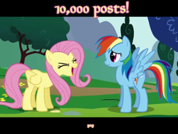 Size: 640x480 | Tagged: safe, derpibooru import, edit, edited screencap, screencap, fluttershy, rainbow dash, pegasus, pony, g4, sonic rainboom (episode), 10000, day, duo, duo female, english, eyes closed, female, full body, get, mare, milestone, milestone celebration, open mouth, text, yay