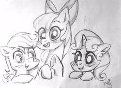Size: 2742x2000 | Tagged: safe, artist:masichundepaofu, derpibooru import, apple bloom, scootaloo, sweetie belle, earth pony, pegasus, pony, unicorn, g4, cutie mark crusaders, female, filly, foal, horn, simple background, smiling, traditional art, white background
