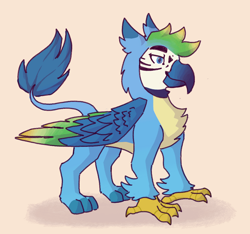 Size: 640x600 | Tagged: safe, artist:spicyricec00ker, derpibooru import, gallus, bird, griffon, hybrid, parrot, g4, alternate design, colored wings, eared griffon, macaw, macaw griffon, male, parrot griffon, redesign, simple background, solo, wings