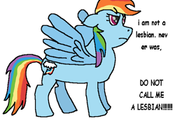 Size: 650x450 | Tagged: safe, artist:slashedout, derpibooru import, rainbow dash, pegasus, pony, g4, angry, denial, ms paint, shitposting, simple background, solo, white background