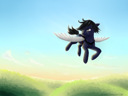 Size: 1600x1200 | Tagged: safe, artist:kaermter, derpibooru import, oc, oc only, earth pony, pony, artificial wings, augmented, flying, male, scar, solo, stallion, wings