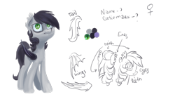Size: 2000x1125 | Tagged: safe, artist:kaermter, derpibooru import, oc, oc only, bat pony, pony, ear tufts, fangs, female, mare, reference sheet, simple background, solo, transparent background