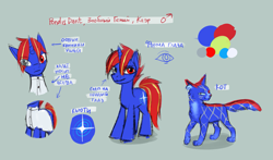 Size: 2431x1425 | Tagged: safe, artist:kaermter, derpibooru import, oc, oc only, oc:pondis dant, cat, pony, unicorn, clothes, gray background, heterochromia, horn, male, reference sheet, self paradox, self ponidox, shirt, simple background, solo, stallion