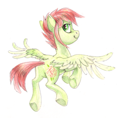 Size: 1388x1342 | Tagged: safe, artist:kaermter, derpibooru import, oc, oc only, pegasus, pony, flying, looking at you, looking back, looking back at you, simple background, solo, spread wings, traditional art, white background, wings