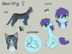 Size: 1442x1098 | Tagged: safe, artist:kaermter, derpibooru import, oc, oc only, oc:dovewing, cat, earth pony, pony, cyrillic, female, mare, reference sheet, simple background, sitting, translation request