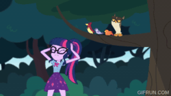 Size: 520x293 | Tagged: safe, derpibooru import, screencap, sci-twi, twilight sparkle, bird, human, owl, equestria girls, g4, stressed in show, stressed in show: fluttershy, animated, female, gif, gifrun.com, my little pony equestria girls: choose your own ending